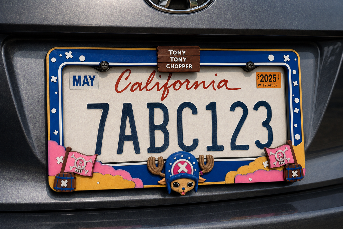 One Piece License Plate 3D Printed Over Metal Frame