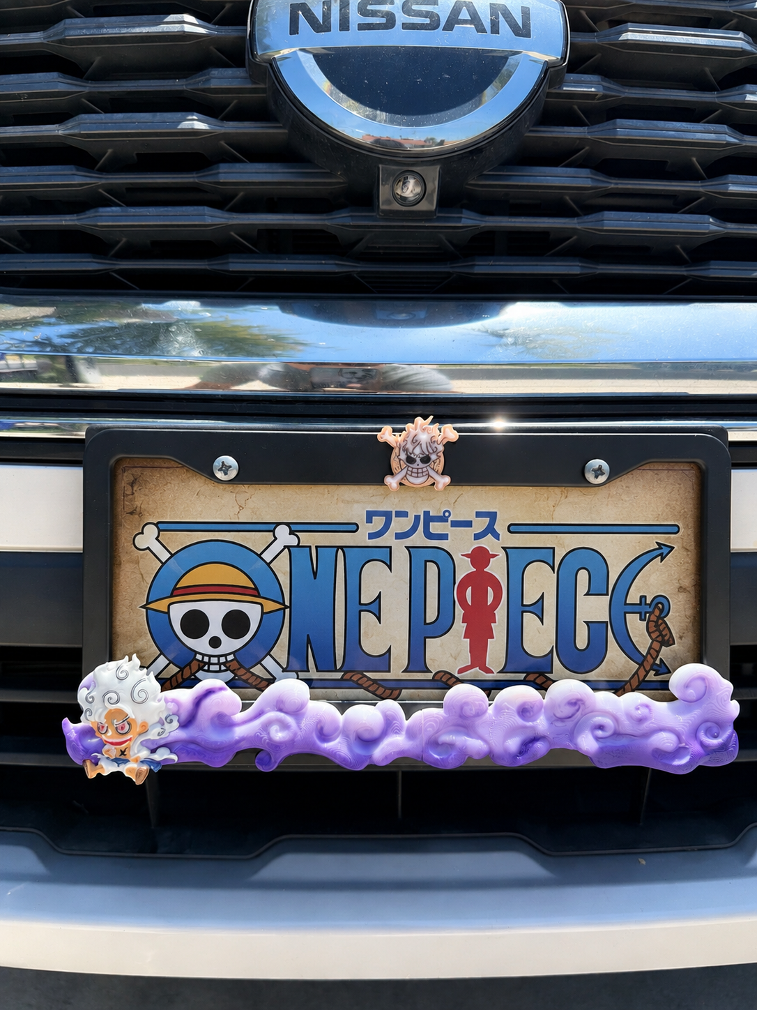 One Piece License Plate 3D Printed Over Metal Frame